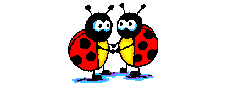 coccinelle_019.gif