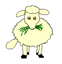moutons005.gif