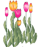 tulipesPaques.gif